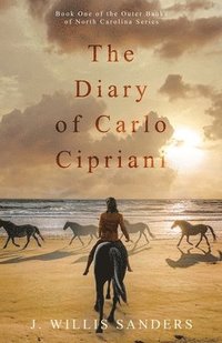 bokomslag The Diary of Carlo Cipriani