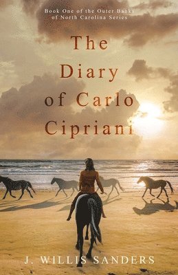 bokomslag The Diary of Carlo Cipriani