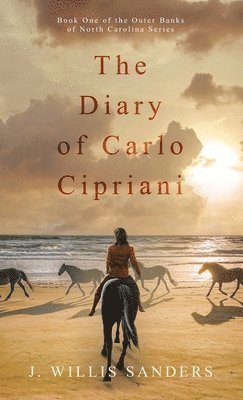 bokomslag The Diary of Carlo Cipriani