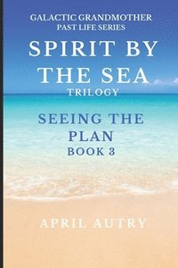 bokomslag Spirt by the Sea Trilogy - Seeing the Plan - Book 3