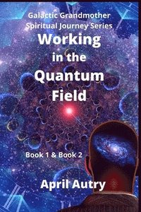 bokomslag Working in the Quantum Field