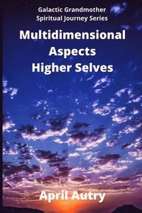 bokomslag Multidimensional Aspects - Higher Selves