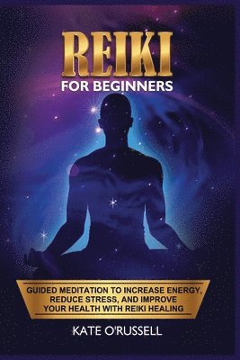 bokomslag Reiki for Beginners