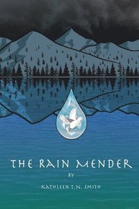 bokomslag The Rain Mender