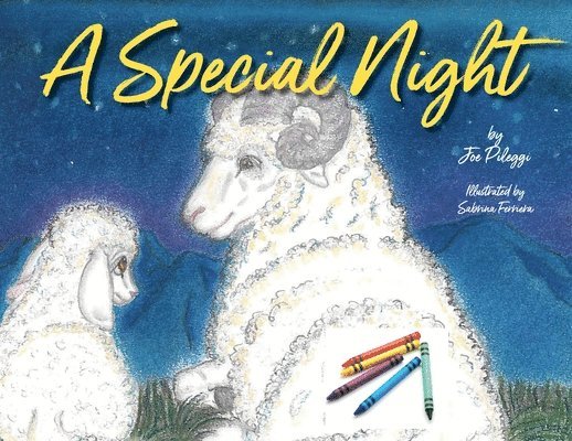 A Special Night: a Christmas coloring book 1