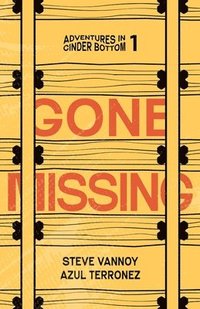 bokomslag Gone Missing