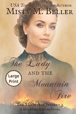 bokomslag Lady and the Mountain Fire
