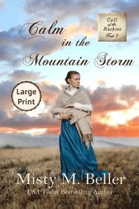 bokomslag Calm in the Mountain Storm