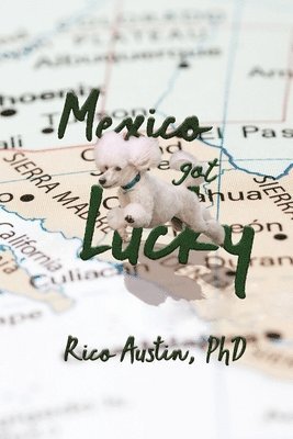 bokomslag Mexico Got Lucky: Updated Edition