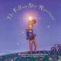 bokomslag Falling Star Repairman