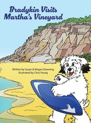 bokomslag Bradykin Visits Martha's Vineyard