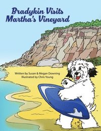 bokomslag Bradykin Visits Martha's Vineyard