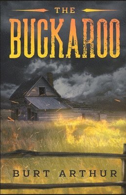 bokomslag Buckaroo