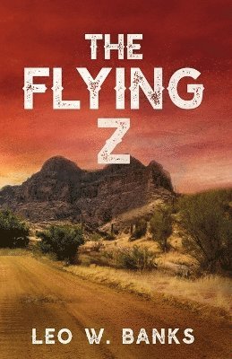 bokomslag Flying Z