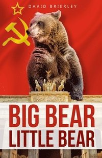 bokomslag Big Bear, Little Bear