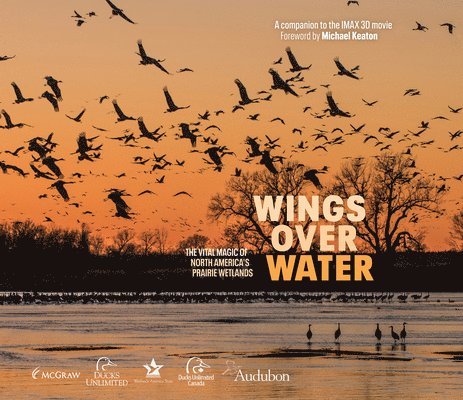 Wings Over Water 1