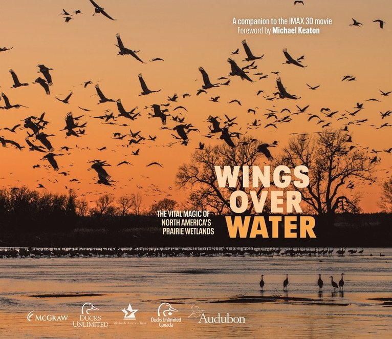 Wings for Wetlands LLC, Wings For Wetlands LLC, LLC Wetlands, Wings For Wetlands Llc - Wings Over Water, Inbunden