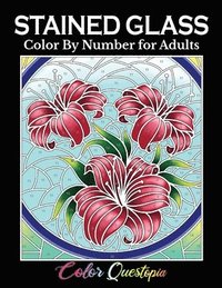 bokomslag Stained Glass Color by Number For Adults