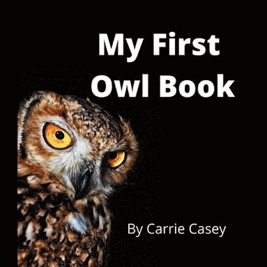 bokomslag My First Owl Book