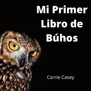 bokomslag Mi Primer Libro de Búhos: un Libro de Animales para Niños