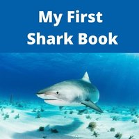 bokomslag My First Shark Book
