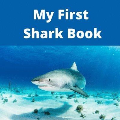 My First Shark Book 1