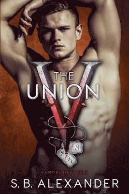 bokomslag Union