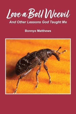 Love a Boll Weevil: And Other Lessons God Taught Me