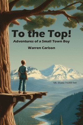 bokomslag To the Top!: Adventures of a Small Town Boy