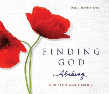 bokomslag Finding God Abiding: Daily Meditations