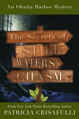 The Secrets of Still Waters Chasm: Book 2 - Ohnita Harbor Mystery Series 1