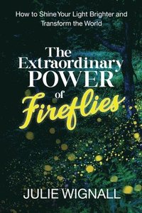 bokomslag Extraordinary Power of Fireflies