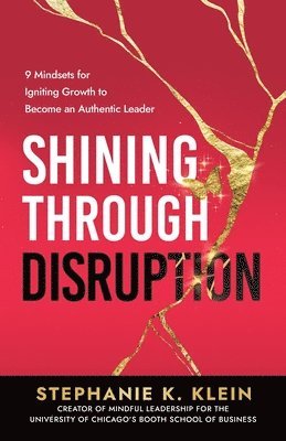 bokomslag Shining Through Disruption