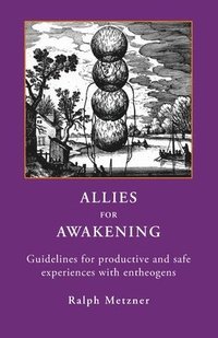 bokomslag Allies for Awakening