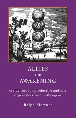Ralph Metzner - Allies for Awakening, Häftad