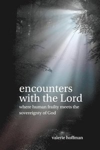bokomslag Encounters with the Lord