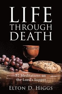 bokomslag Life Through Death