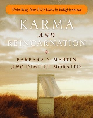 bokomslag Karma and Reincarnation