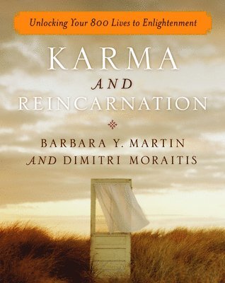 Karma And Reincarnation 1