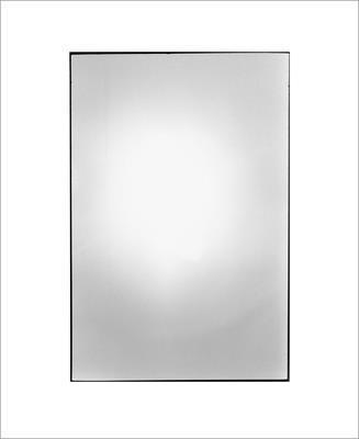 Karen Kelly, Barbara Schroeder - Zoe Leonard: Available Light, Inbunden