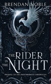 bokomslag The Rider in the Night