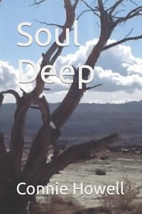 bokomslag Soul Deep