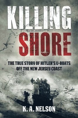 Killing Shore 1