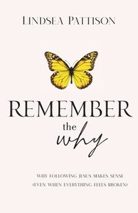 bokomslag Remember the Why