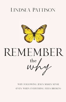 bokomslag Remember the Why