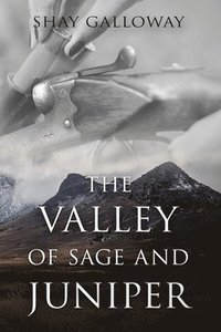 bokomslag The Valley of Sage and Juniper