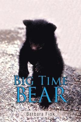 Big Time Bear 1