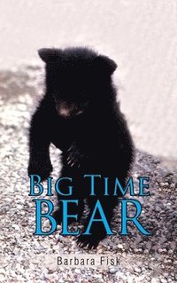 bokomslag Big Time Bear