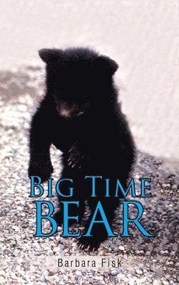 Big Time Bear 1