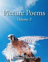 bokomslag Picture Poems Volume 3